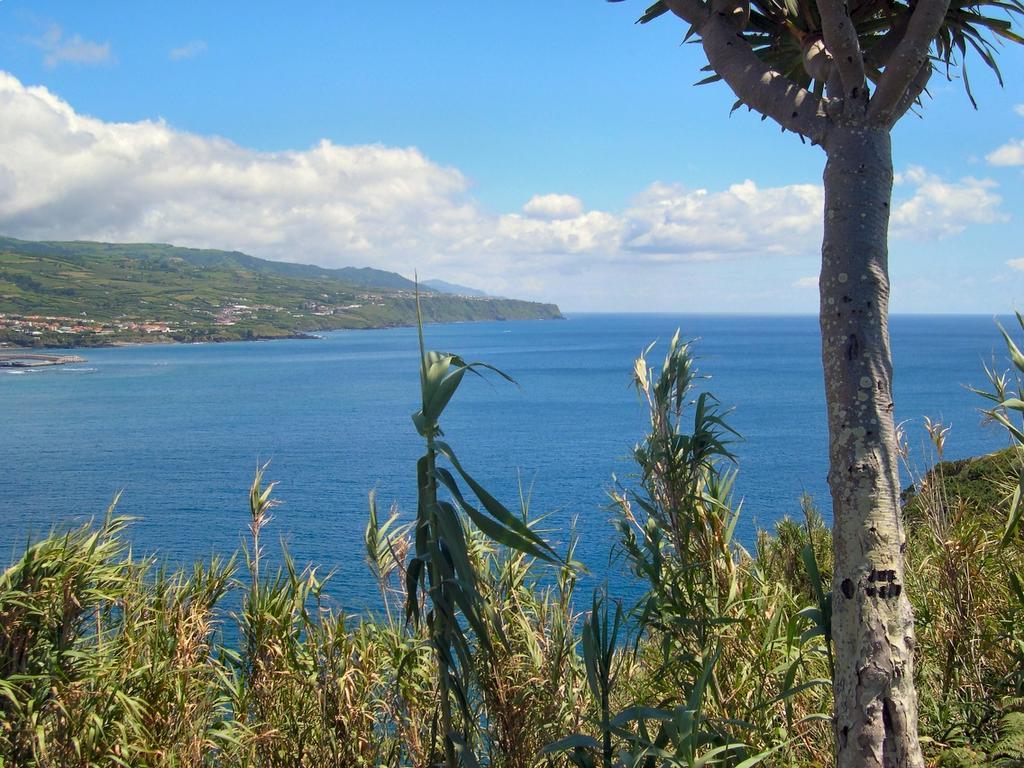 Casa Quinta Do Marques Βίλα Πόντα Ντελγκάντα Εξωτερικό φωτογραφία